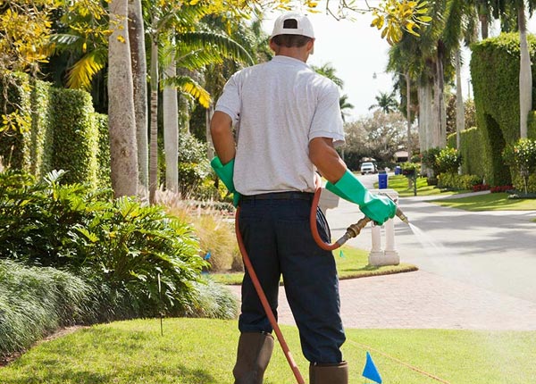 About Refugio TX Pest Control